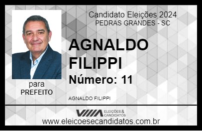 Candidato AGNALDO FILIPPI 2024 - PEDRAS GRANDES - Eleições