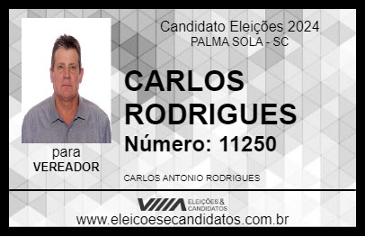 Candidato CARLOS RODRIGUES 2024 - PALMA SOLA - Eleições