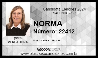 Candidato NORMA 2024 - SALTINHO - Eleições