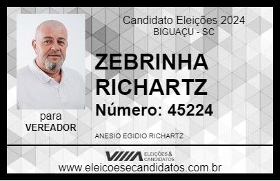 Candidato ZEBRINHA RICHARTZ 2024 - BIGUAÇU - Eleições