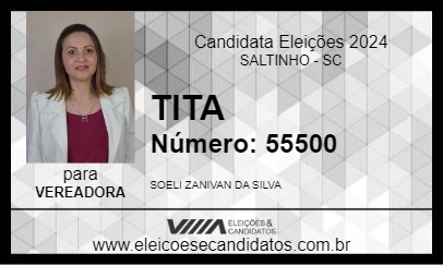 Candidato TITA 2024 - SALTINHO - Eleições