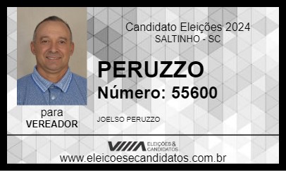 Candidato PERUZZO 2024 - SALTINHO - Eleições