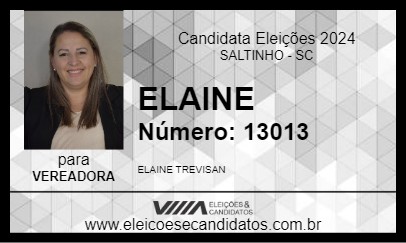 Candidato ELAINE 2024 - SALTINHO - Eleições