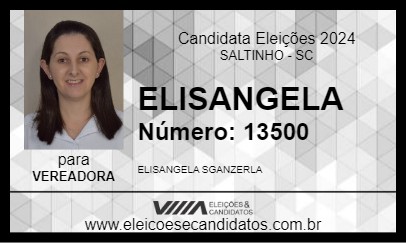 Candidato ELISANGELA 2024 - SALTINHO - Eleições