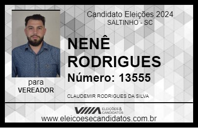 Candidato NENÊ RODRIGUES 2024 - SALTINHO - Eleições