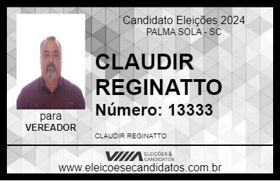 Candidato CLAUDIR REGINATTO 2024 - PALMA SOLA - Eleições