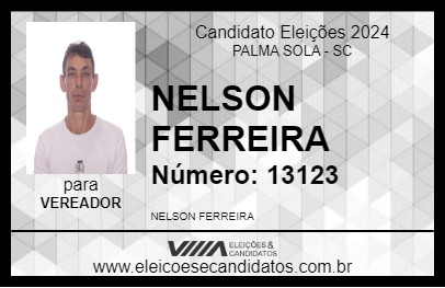 Candidato NELSON FERREIRA 2024 - PALMA SOLA - Eleições