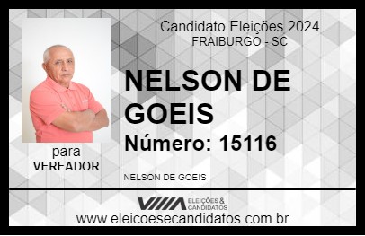 Candidato NELSON DE GOEIS 2024 - FRAIBURGO - Eleições