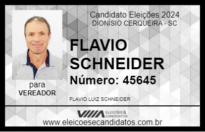 Candidato FLAVIO SCHNEIDER 2024 - DIONÍSIO CERQUEIRA - Eleições