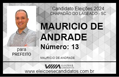 Candidato MAURICIO DE ANDRADE 2024 - CHAPADÃO DO LAGEADO - Eleições