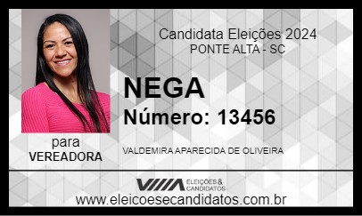 Candidato NEGA  2024 - PONTE ALTA - Eleições