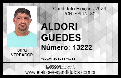 Candidato ALDORI GUEDES 2024 - PONTE ALTA - Eleições