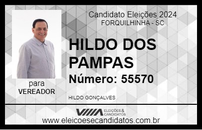 Candidato HILDO DOS PAMPAS 2024 - FORQUILHINHA - Eleições