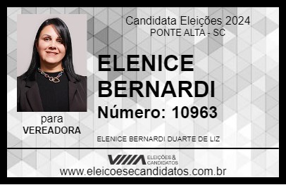 Candidato ELENICE BERNARDI 2024 - PONTE ALTA - Eleições