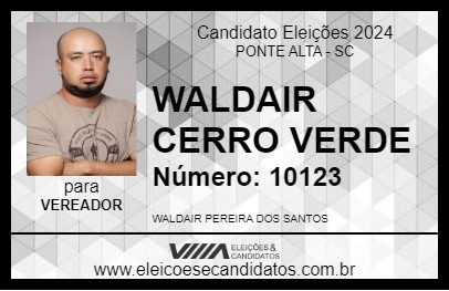 Candidato WALDAIR CERRO VERDE 2024 - PONTE ALTA - Eleições