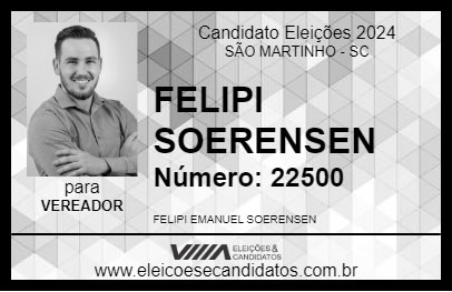 Candidato FELIPI SOERENSEN 2024 - SÃO MARTINHO - Eleições