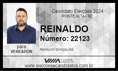 Candidato REINALDO 2024 - PONTE ALTA - Eleições