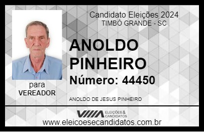 Candidato ANOLDO PINHEIRO 2024 - TIMBÓ GRANDE - Eleições