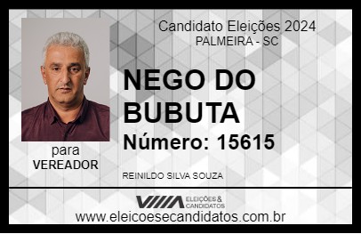 Candidato NEGO DO BUBUTA 2024 - PALMEIRA - Eleições