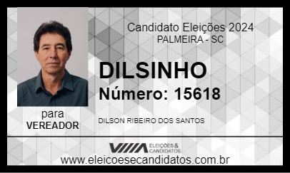 Candidato DILSINHO 2024 - PALMEIRA - Eleições