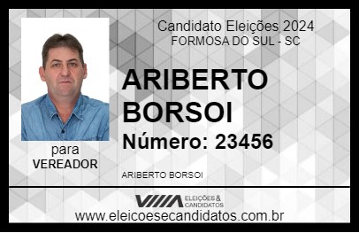 Candidato ARIBERTO BORSOI 2024 - FORMOSA DO SUL - Eleições