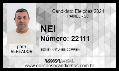 Candidato NEI 2024 - PAINEL - Eleições