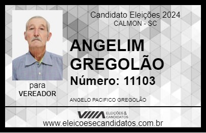 Candidato ANGELIM GREGOLÃO 2024 - CALMON - Eleições