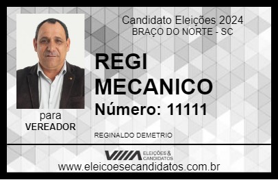 Candidato REGI MECANICO 2024 - BRAÇO DO NORTE - Eleições