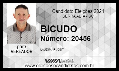 Candidato BICUDO 2024 - SERRA ALTA - Eleições