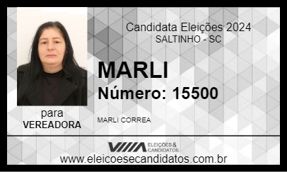 Candidato MARLI 2024 - SALTINHO - Eleições