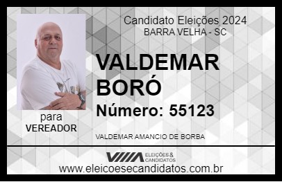 Candidato VALDEMAR BORÓ 2024 - BARRA VELHA - Eleições