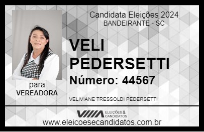 Candidato VELI PEDERSETTI 2024 - BANDEIRANTE - Eleições