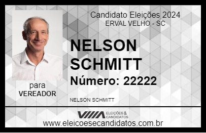 Candidato NELSON SCHMITT 2024 - ERVAL VELHO - Eleições