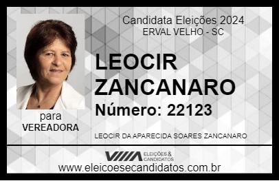 Candidato LEOCIR ZANCANARO 2024 - ERVAL VELHO - Eleições