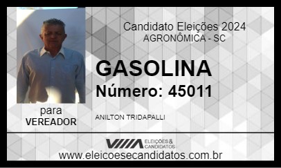 Candidato GASOLINA 2024 - AGRONÔMICA - Eleições