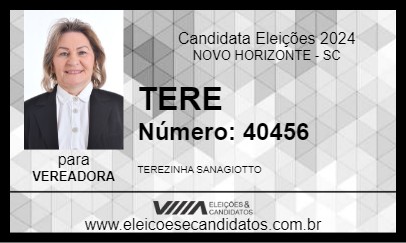 Candidato TERE 2024 - NOVO HORIZONTE - Eleições