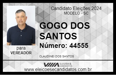 Candidato GOGO DOS SANTOS 2024 - MODELO - Eleições