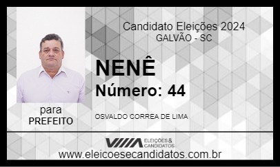 Candidato NENÊ 2024 - GALVÃO - Eleições