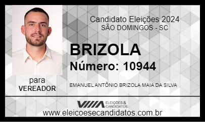 Candidato BRIZOLA 2024 - SÃO DOMINGOS - Eleições