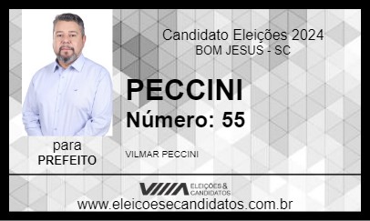 Candidato PECCINI 2024 - BOM JESUS - Eleições