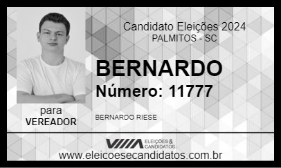 Candidato BERNARDO 2024 - PALMITOS - Eleições