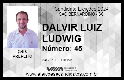 Candidato DALVIR LUIZ LUDWIG 2024 - SÃO BERNARDINO - Eleições