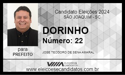 Candidato DORINHO 2024 - SÃO JOAQUIM - Eleições