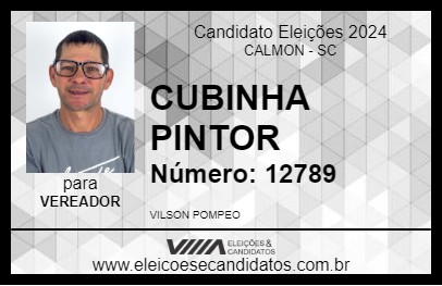 Candidato CUBINHA PINTOR 2024 - CALMON - Eleições