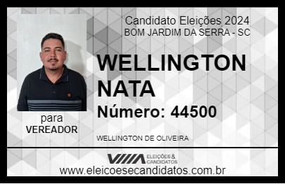 Candidato WELLINGTON NATA 2024 - BOM JARDIM DA SERRA - Eleições