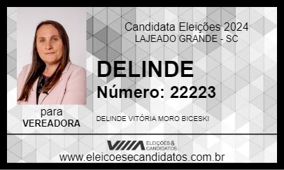 Candidato DELINDE 2024 - LAJEADO GRANDE - Eleições