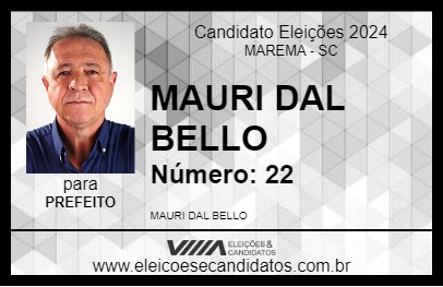 Candidato MARI 2024 - MAREMA - Eleições