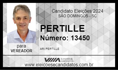 Candidato PERTILLE 2024 - SÃO DOMINGOS - Eleições