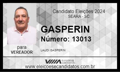 Candidato GASPERIN 2024 - SEARA - Eleições