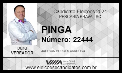 Candidato PINGA 2024 - PESCARIA BRAVA - Eleições